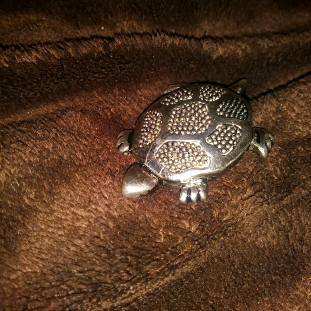 Silver turtle pin